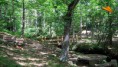 /album/fotogaleria/a361-1-las-merindades-mosaico-de-ecosistemas-jpg/