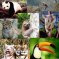 /album/fotogaleria/los-ecosistemas-son-como-el-cuerpo-humano-20110520062339-46bbee4b25964b1764e54897bcd684ca-jpg/